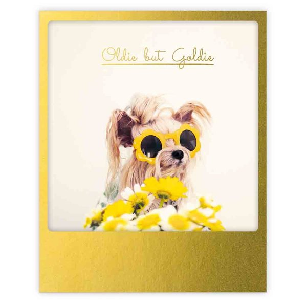 Pickmotion- Oldie but goldie - dog